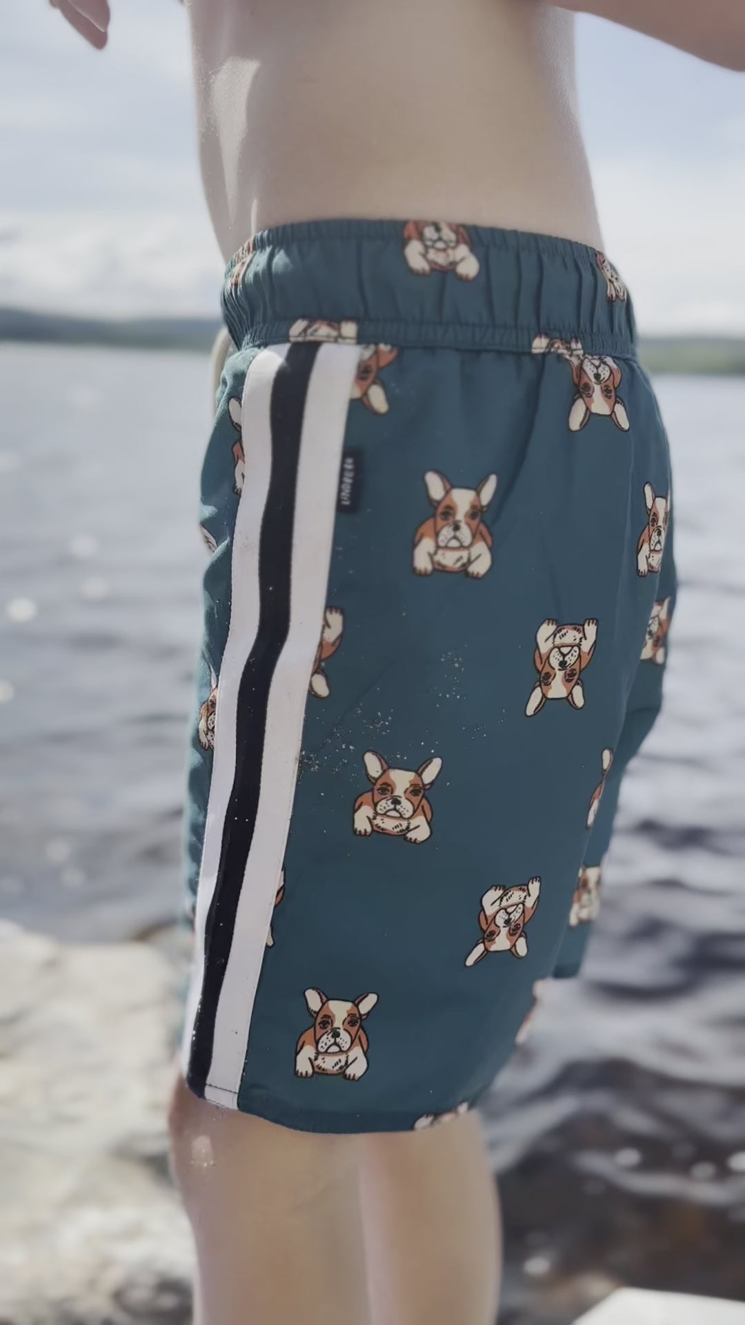 DEXTER BEACH SHORTS - DARK TEAL