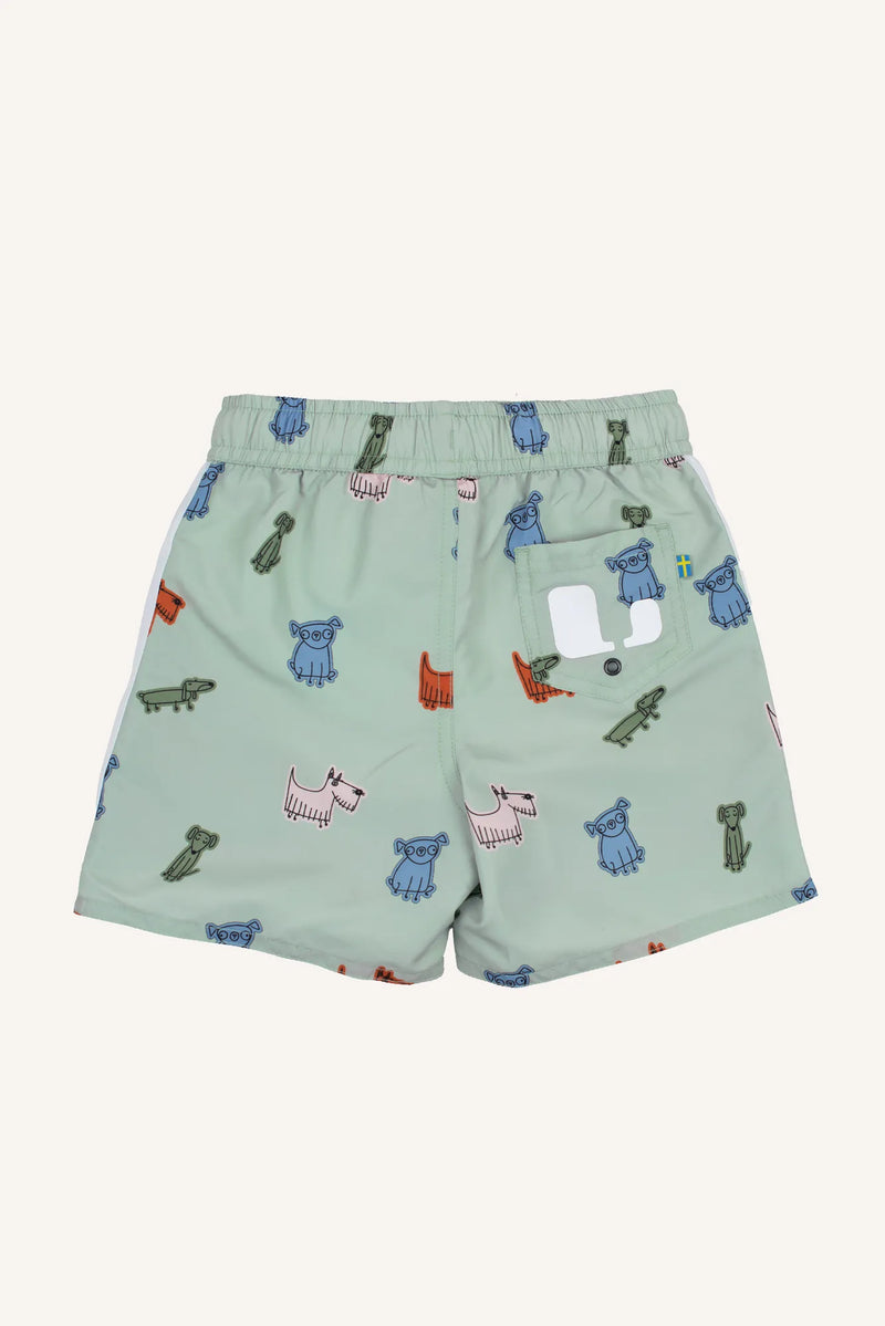DEXTER BEACH SHORTS - GREEN