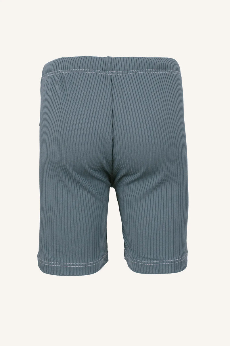 FIJI TRUNKS - GOBLIN BLUE