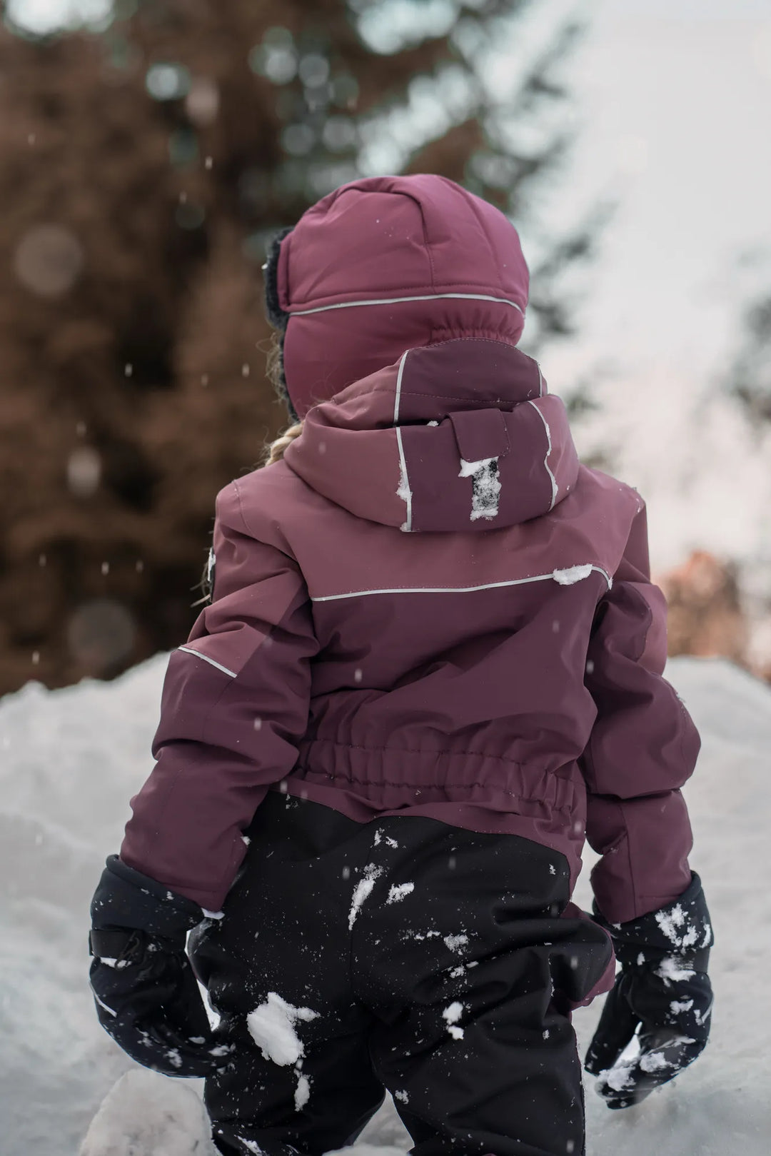 3542_6865_D8_2